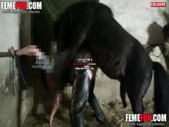 After noticing a swollen horse cock this amateur slut engages in beastiality
